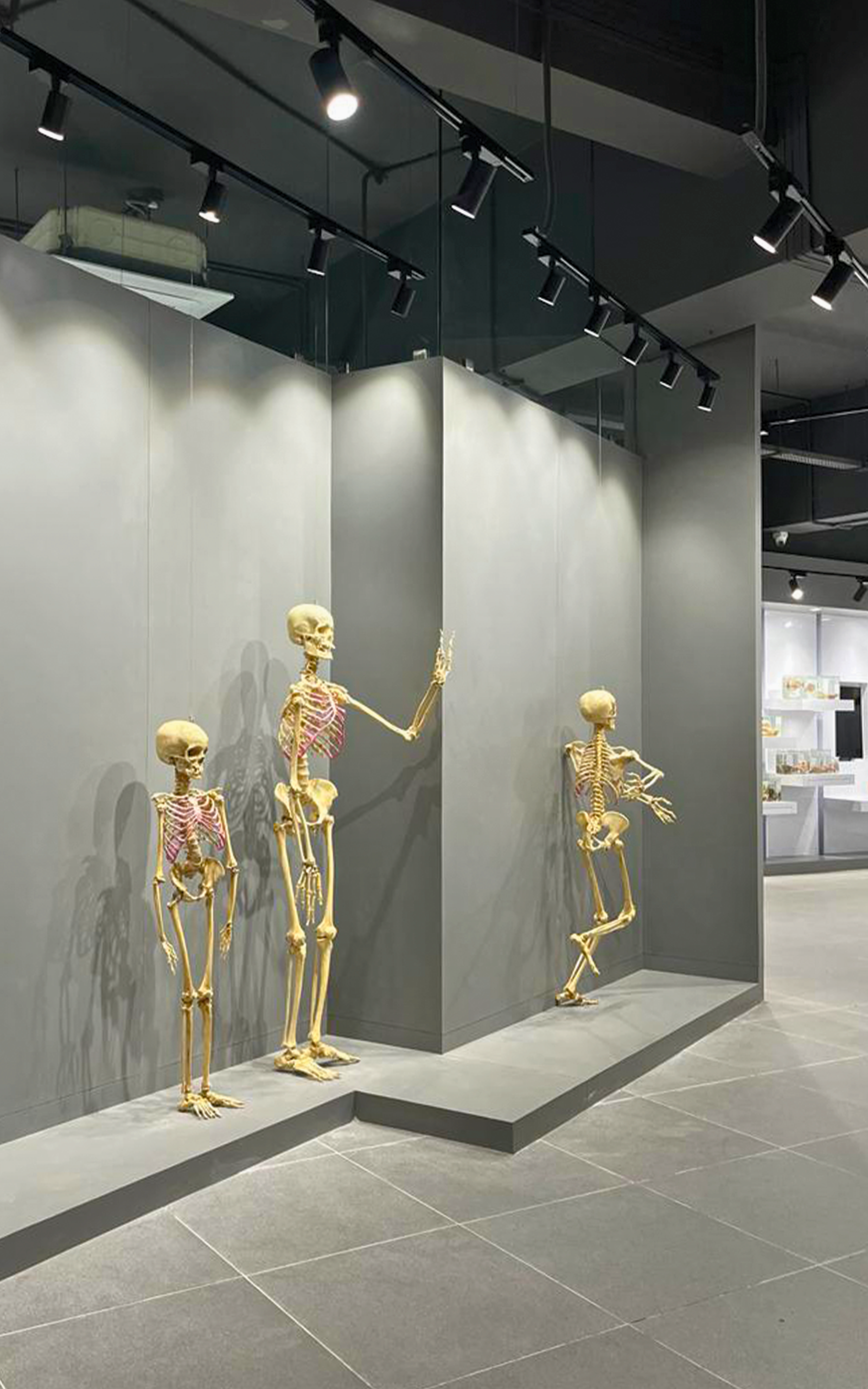 Datta Meghe Museum
