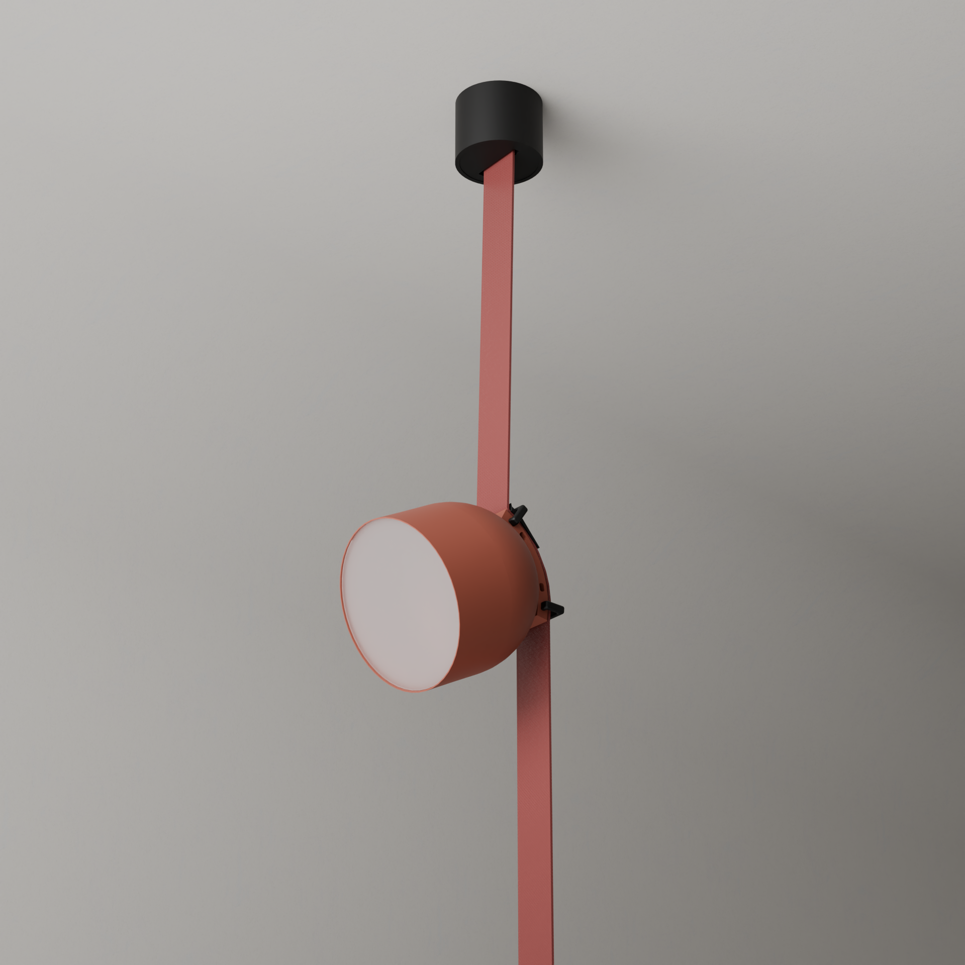 Flexilum L