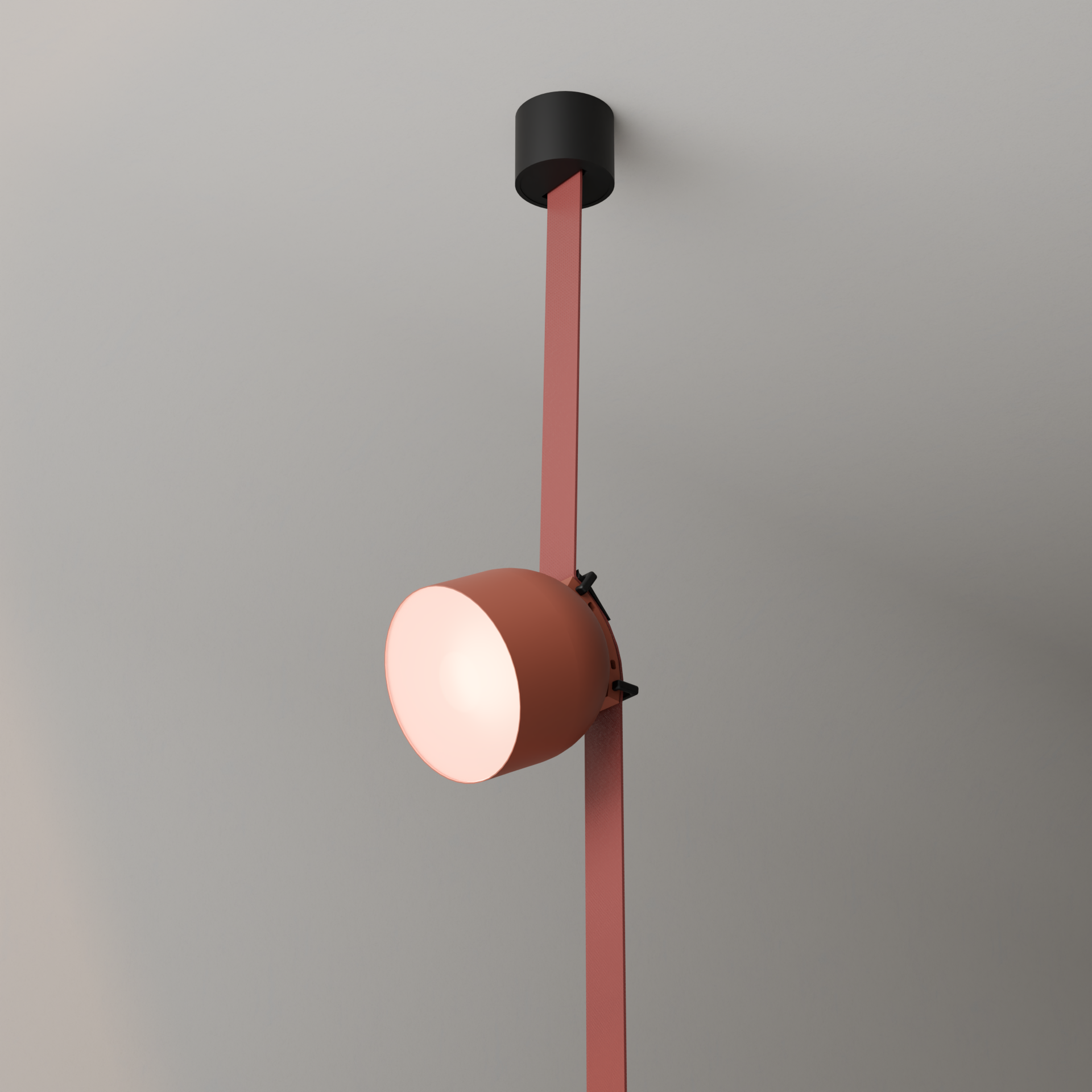 Flexilum L